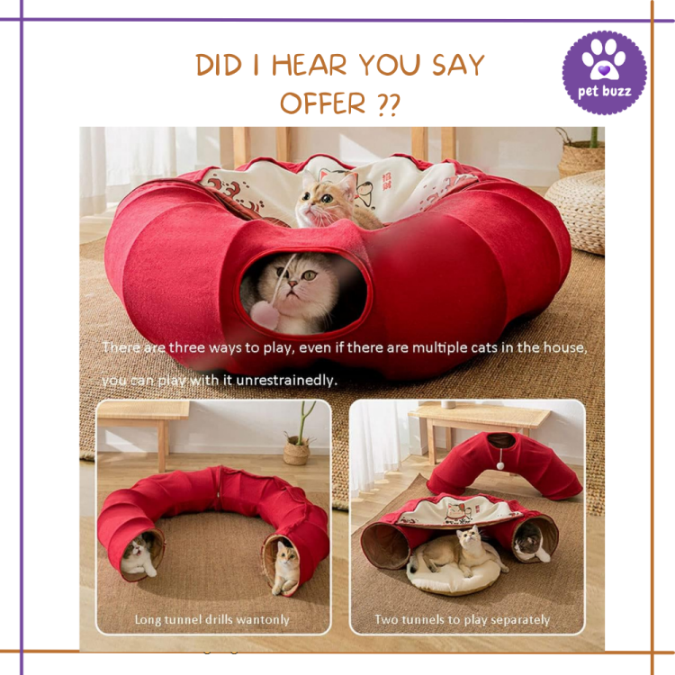 CAT TUNNEL WITH MULTI TYPE & MAT (92 CM*92)