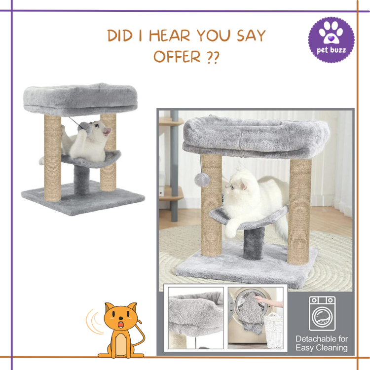 CAT SCRATCHER WITH 2 SET (45*40)