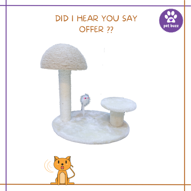 CUTE MUSHROOM CAT SCRATCHER 2 SET (36*28)