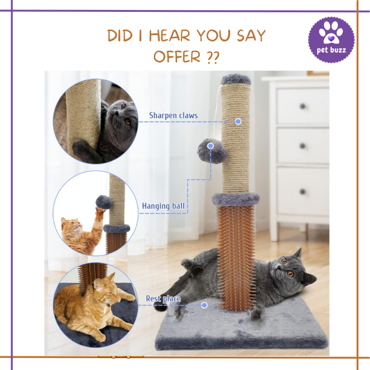 CAT SCRATCHER WITH BODY SCRACHING 30*30*50