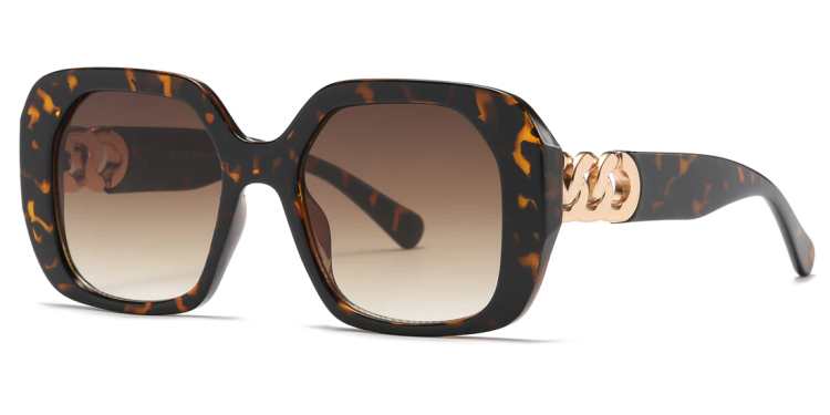 EyeframesInt-DY-PL118029, Women's Fashion Plastic Sunglasses, Assorted Colors 