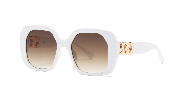 EyeframesInt-DY-PL118029, Women's Fashion Plastic Sunglasses, Assorted Colors 
