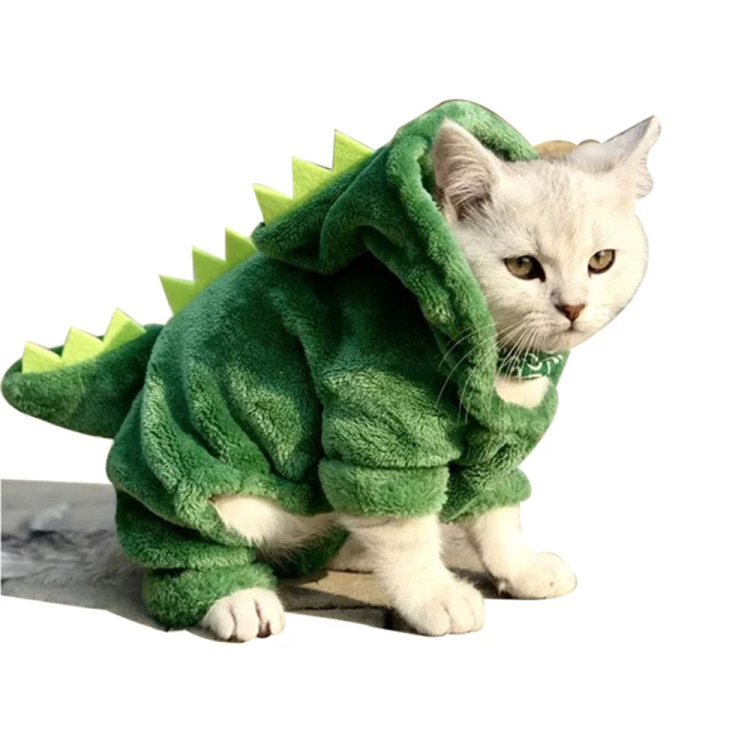Cat and dogs costume 