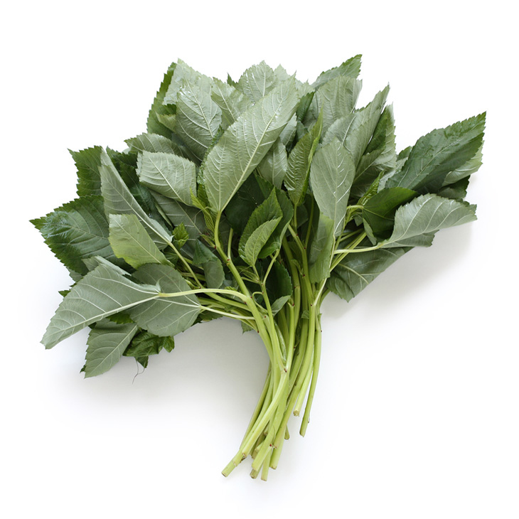ملوخيه ورق
