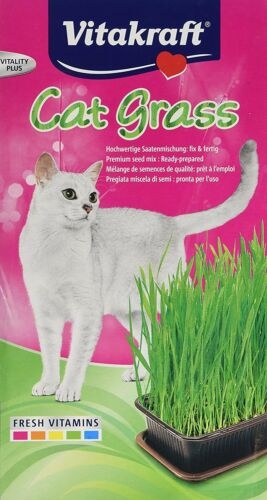 عcat grass Vitakraft Cat Grass هو مكمل نباتي طازج يساعد القطط على سعال كرات الشعر التي تتشكل في بطونهم. لذيذة وصحية ومثالية للقطط المنزلية. يحتوي كل صندوق على: وعاء للزراعة وتربة معدنية ومزيج من البذور.