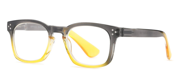 EyeframesInt-DY-RS111256, Plastic Reading Glasses, Assorted Colors 