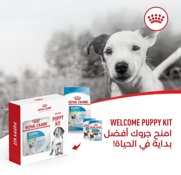 royal canin xsmall  puppy500g + 2 mini puppy gravy pouches 