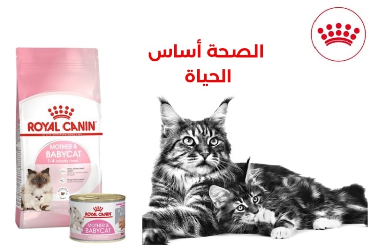 mother&babycat 400g + mother&babycat mousse for free 