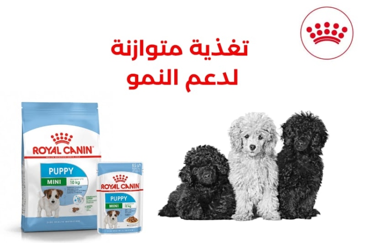 royal canin mini puppy800g + 2 mini puppy gravy pouches 