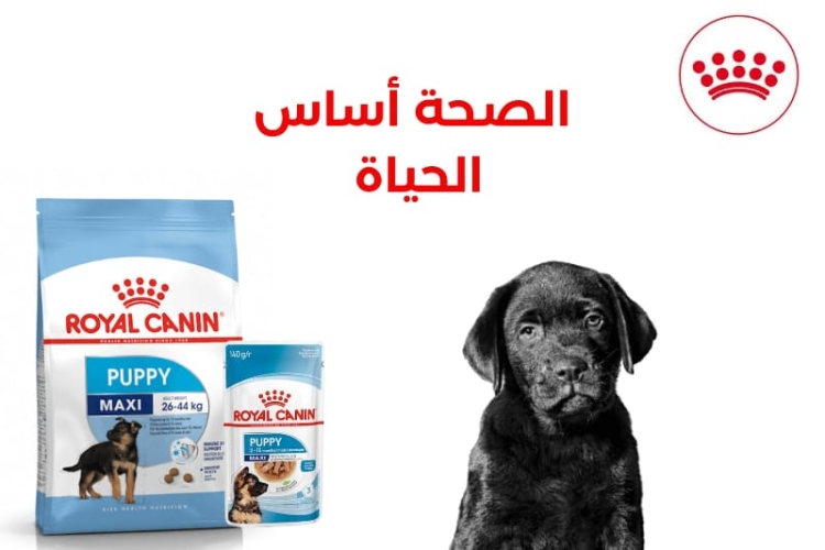 royal canin maxi puppy1kg + 2 maxi puppy gravy pouches 