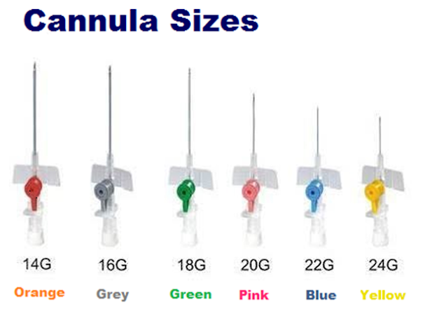 IV Cannula