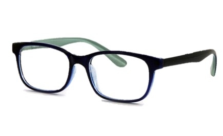 EyeframesInt-AFF-119318- Optical Eyewear, The Economic Frames, Assorted Colors