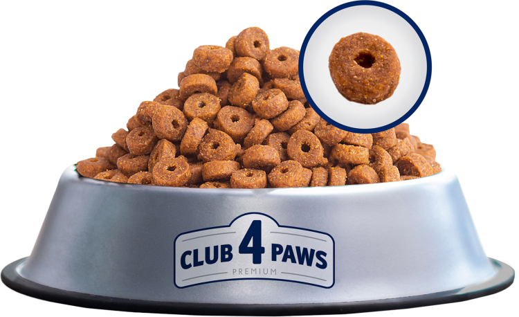 Club 4 paws بطعم الارانب 