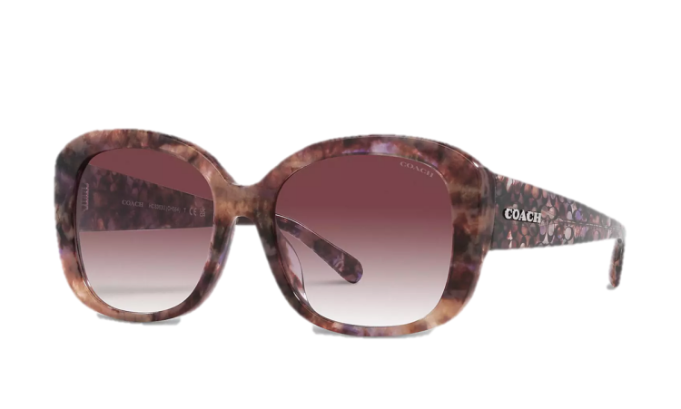 EyeframesInt-COACH-CH564-  Signature Oversized Square Sunglasses, Assorted Colors