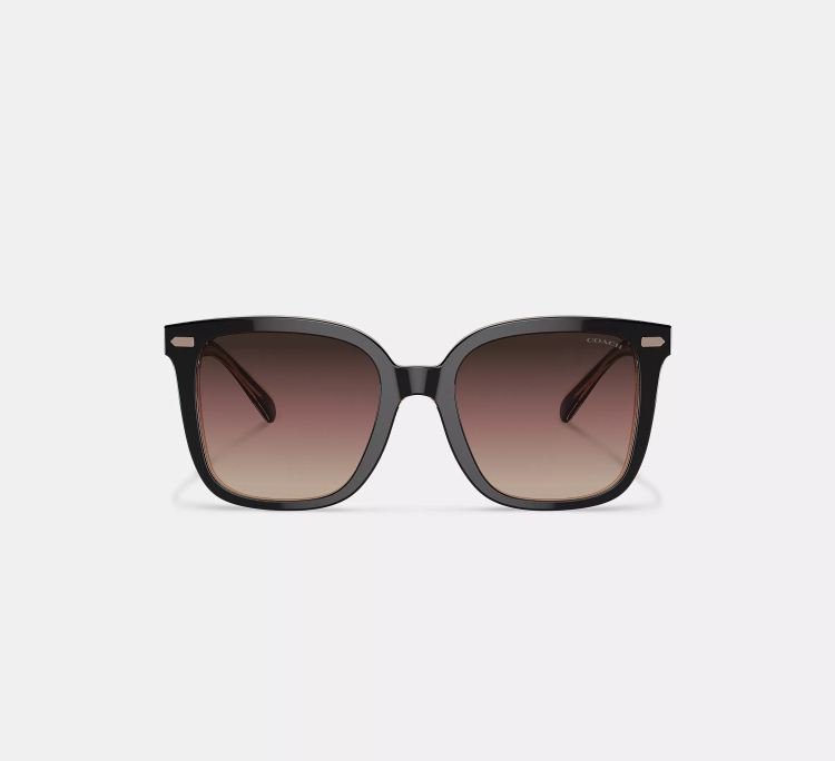 EyeframesInt-COACH-CL918 - Beveled Signature Oversized Square Sunglasses - Black/Blush