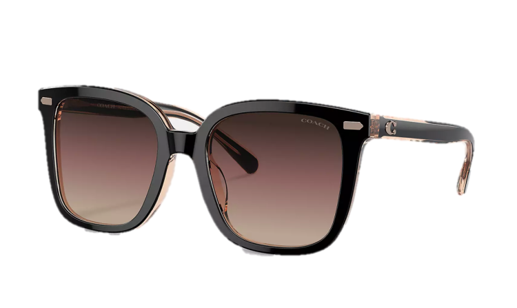 EyeframesInt-COACH-CL918 - Beveled Signature Oversized Square Sunglasses - Black/Blush