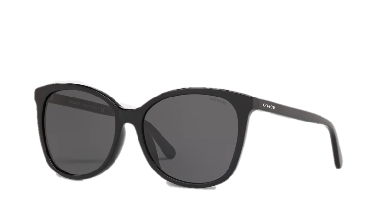 EyeframesInt-COACH-CT048 - Signature Workmark Square Sunglasses - Black 