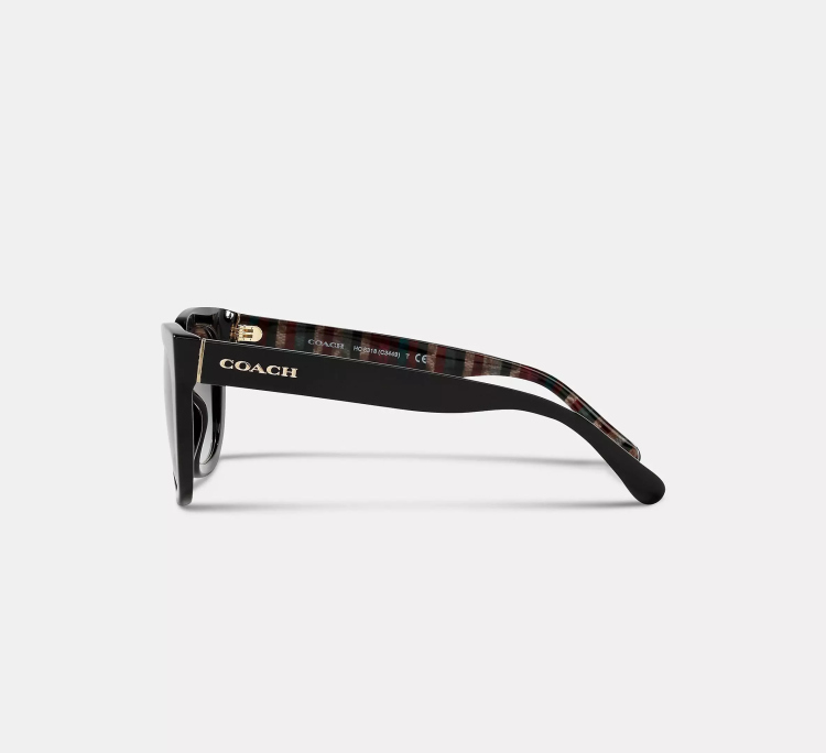  EyeframesInt-COACH-C3449 - Legacy Stripe Square Sunglasses - Black 