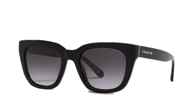  EyeframesInt-COACH-C3449 - Legacy Stripe Square Sunglasses - Black 