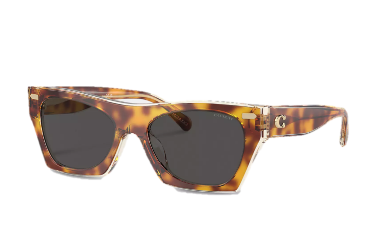 EyeframesInt-COACH-CL917 - Beveled Signature Square Sunglasses