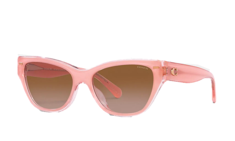 EyeframesInt-COACH-CH570 - Beveled Signature Square Cat Eye Sunglasses - Assorted Colors