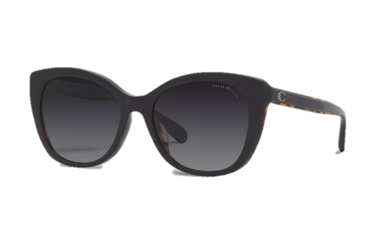 EyeframesInt-COACH-CH567 - Beveled Signature Oversized Cat Eye Sunglasses -Black/Tortoise