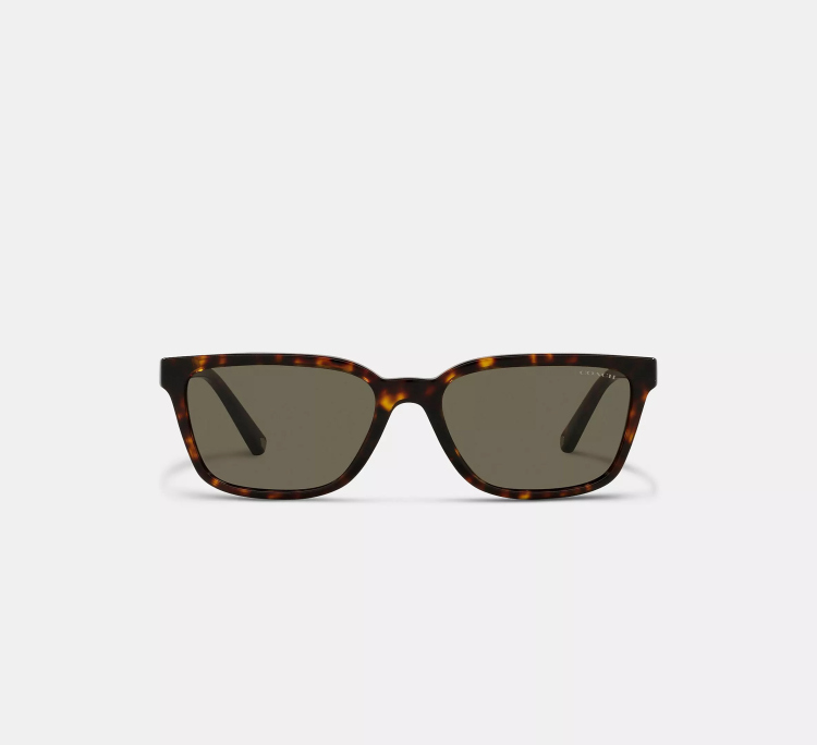 EyeframesInt-COACH- C6196 - Men Signature Workmark Square Sunglasses - Assorted Colors 