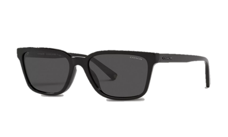 EyeframesInt-COACH- C6196 - Men Signature Workmark Square Sunglasses - Assorted Colors 