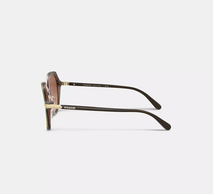 EyeframesInt-COACH-CL925 - Wrap Around Hangtag Oversized Geometric Round Sunglasses - Assorted Colors