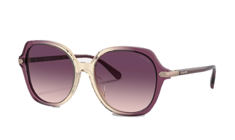 EyeframesInt-COACH-CL925 - Wrap Around Hangtag Oversized Geometric Round Sunglasses - Assorted Colors