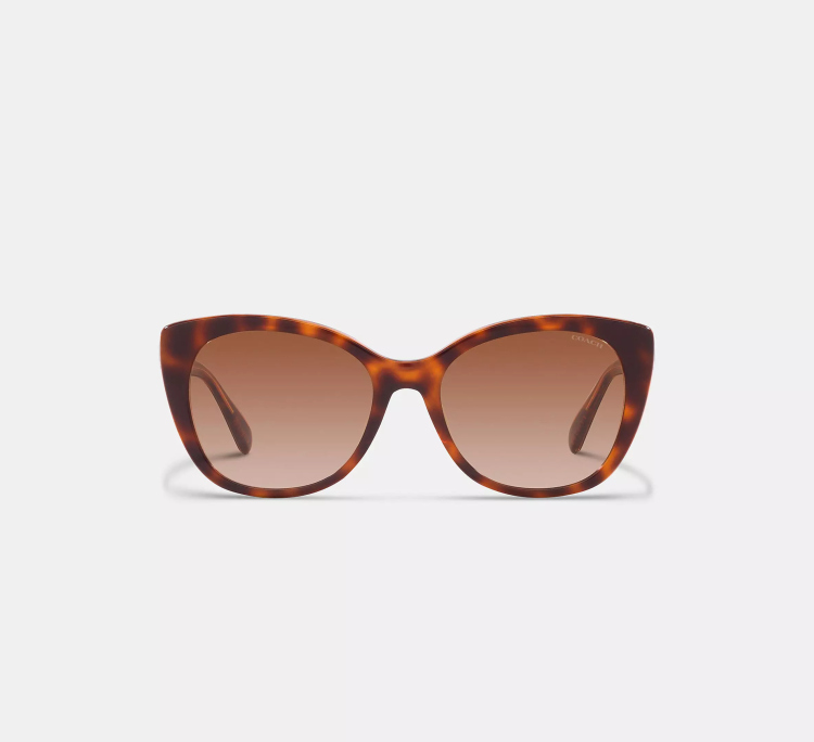 EyeframesInt-COACH-CH566 - Beveled Signature Oversized Cat Eye Sunglasses