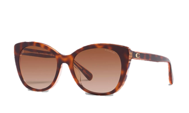 EyeframesInt-COACH-CH566 - Beveled Signature Oversized Cat Eye Sunglasses