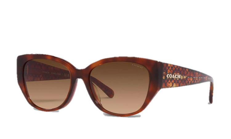 EyeframesInt-COACH-CH563 - Signature Rounded Cat Eye Sunglasses - Assorted Colors