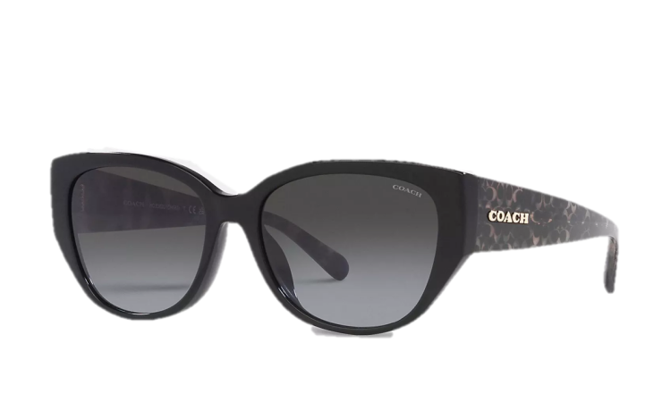 EyeframesInt-COACH-CH563 - Signature Rounded Cat Eye Sunglasses - Assorted Colors