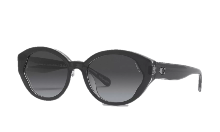 EyeframesInt-COACH-CH569 - Beveled Signature Petal Round Sunglasses - Assorted Colors