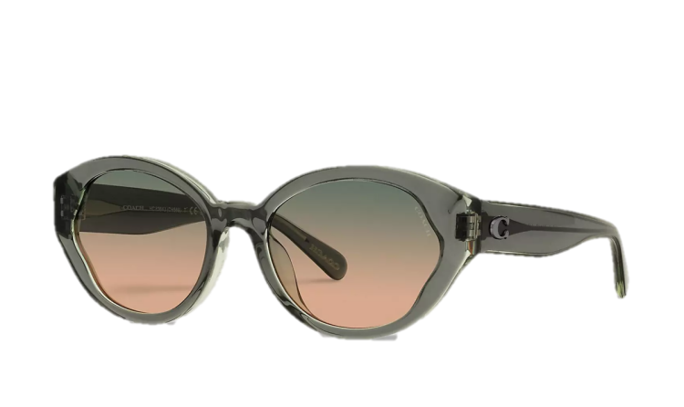 EyeframesInt-COACH-CH569 - Beveled Signature Petal Round Sunglasses - Assorted Colors