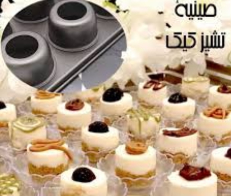 قالب مني شيز كيك دائري 24 قطعه 