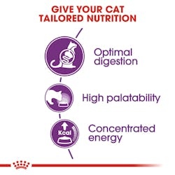 Royal Canin للقطط التي تعاني من حساسية هضمية