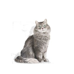 Royal Canin للقطط التي تعاني من حساسية هضمية