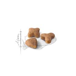 Royal Canin للقطط التي تعاني من حساسية هضمية