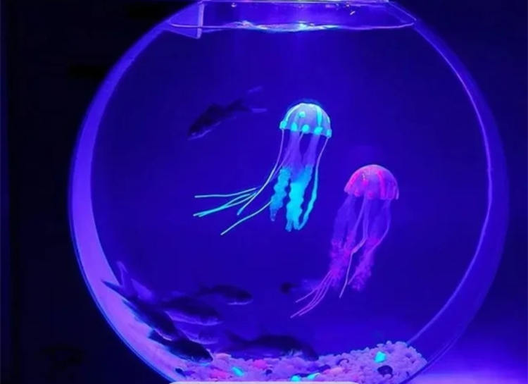 حوض ذكي بإضاءة LED وفلتر بيولوجي وأكسجين 