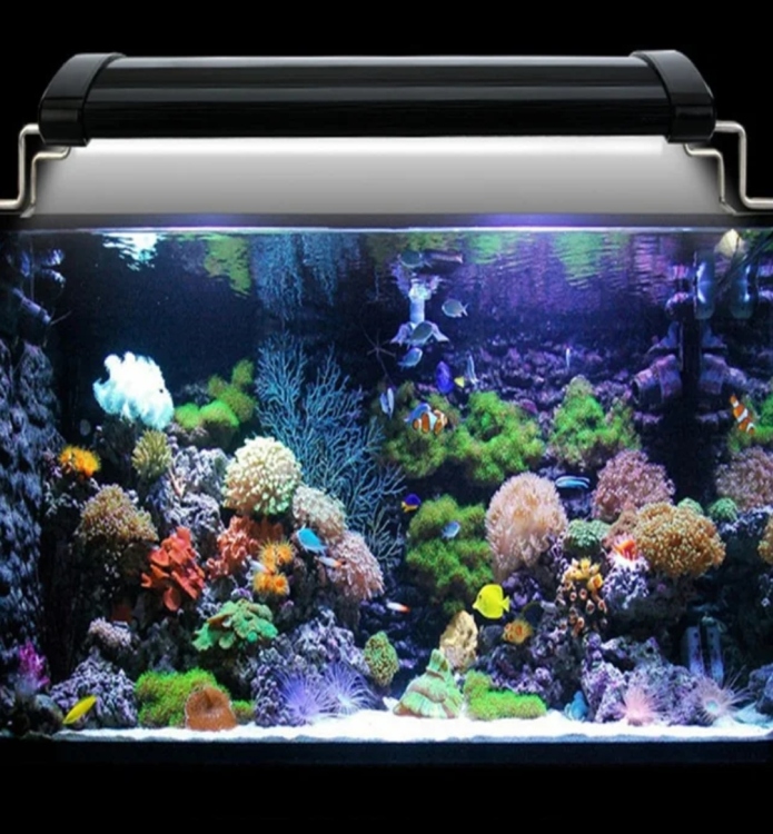 اضاءه LED - RGB جودة عالية