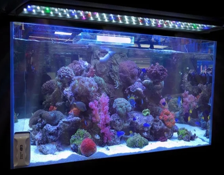 اضاءه LED - RGB جودة عالية