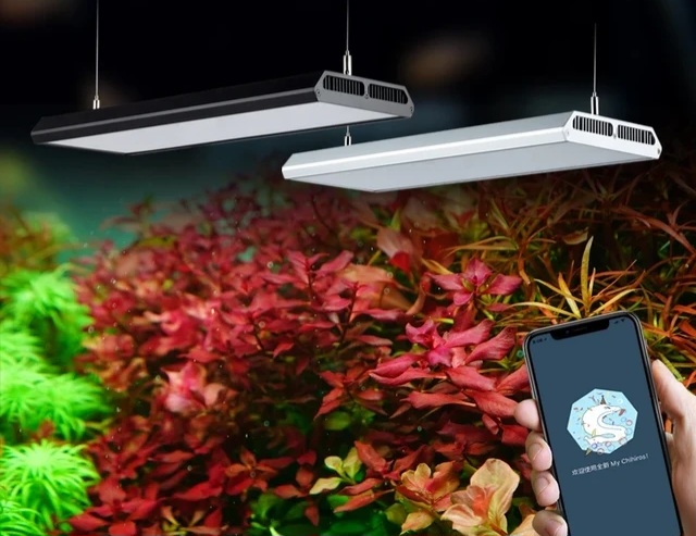 إضاءة Vivid II  من جيهيروس 