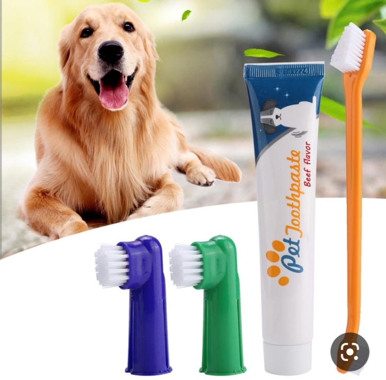 Yingte Pet Tooth Brush and Toothpaste