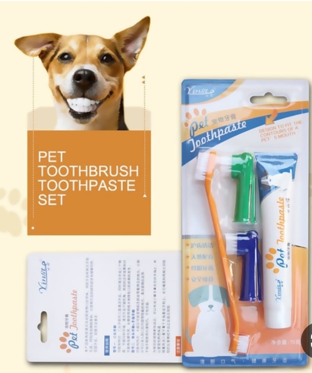 Yingte Pet Tooth Brush and Toothpaste