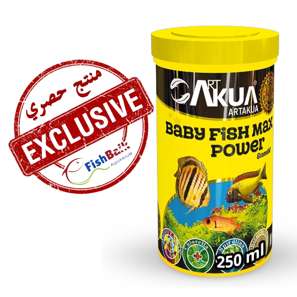 غذاء القوة للأسماك الصغيرة 