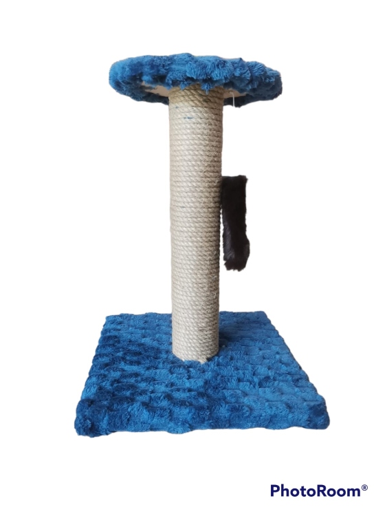 cat scratcher (random color)