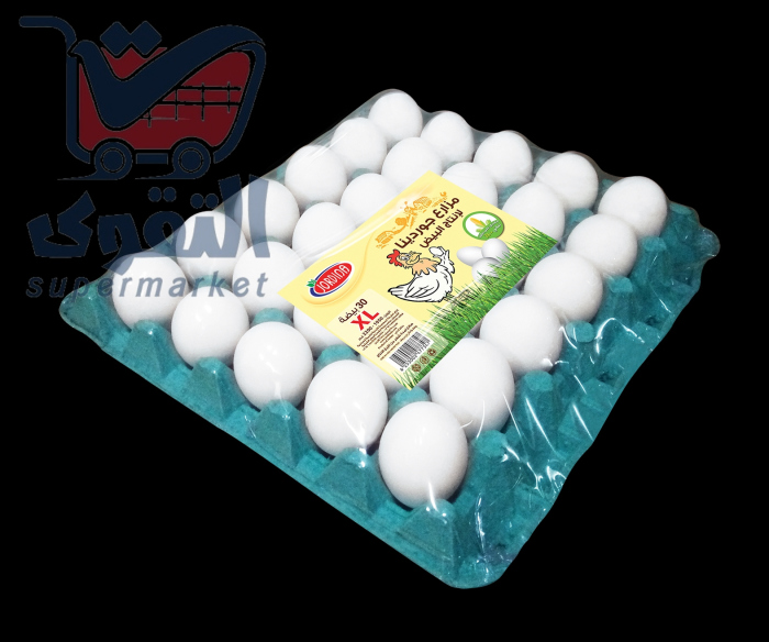 بيض جوردينا XL