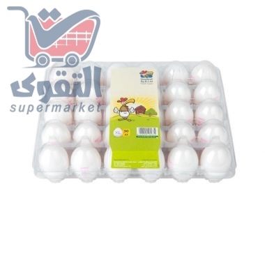 بيض سنقرط XL مغلف